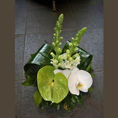 160 Simple Posy