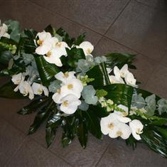280 Orchid Coffin Tribute