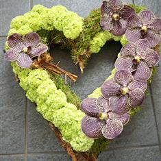 320 Hollow Heart