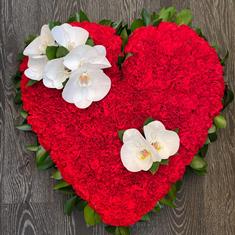 370 Massed Heart
