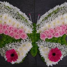 620 Butterfly
