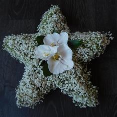 415 Gyp Star (Glittering)