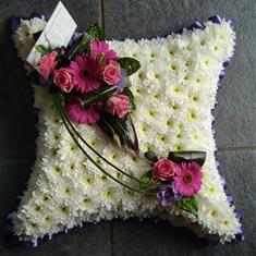 500 Cushion