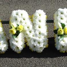 580 Funeral Letters
