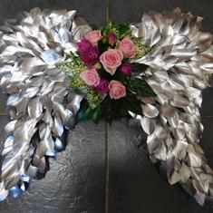 655 Angel Wings
