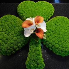 695 Shamrock