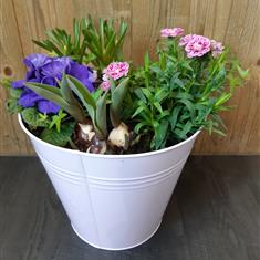Seasonal Spring Planter in Zink