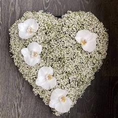 364 Gyp Heart