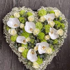 318 Outlined Heart