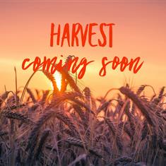 Harvest