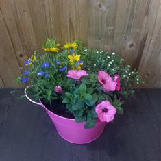 Vibrant Summer Planter 
