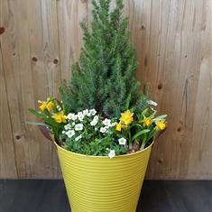 Large Spring Planter in yellow Zink