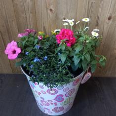 Summer Planter in Zink