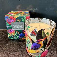 Gisela Graham Watermelon and Tropical Blossom Scented candle 