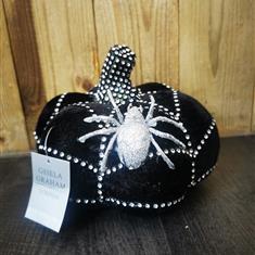 Black Velvet Pumpkin with Spider