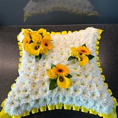 515 Cushion