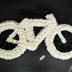 900 Bicycle