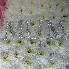 920 Diamonte Letters