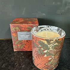 Gisela Graham Juniper Berry and Cypress Scented candle 