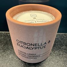 Citronella and Eucalyptus Indoor-Outdoor Candle