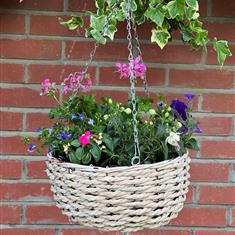 Round Hanging Basket 28cm
