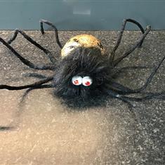 Gisela Graham Black and Gold Spider 