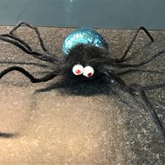Gisela Graham Black and turquoise Spider 