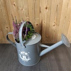 Planted Watering Can