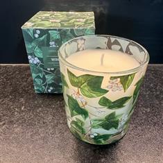 Gisela Graham Winter Ivy Scented candle 