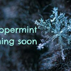 Peppermint Preview