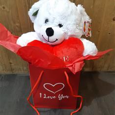 Large Valentines teddy in a Gift bag