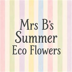 ECO Flowers by Mrs B