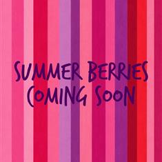 Summer Berries Hat Box