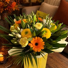 Amber Hand Tied
