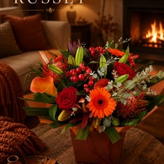 Russet Hand Tied