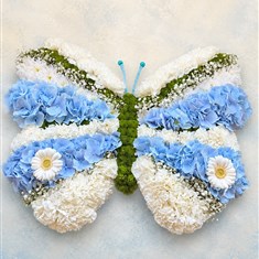 621 Butterfly