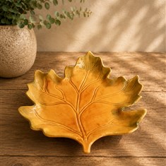 Gisela Graham Green-Yellow Ceramic Ceramic Sycamore Plate