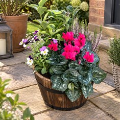 Rustic Autumn Planter