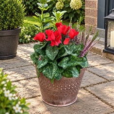 Autumnal Planter