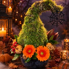 The Witching Hour