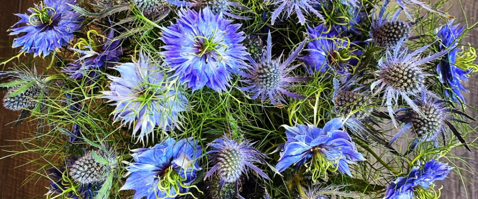 Beehive Florists