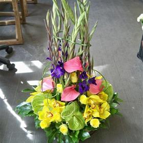 fwthumb100_2944-768x1024.jpg