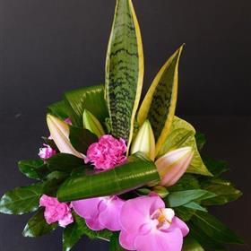 fwthumbDSCN3955-768x1024.jpg