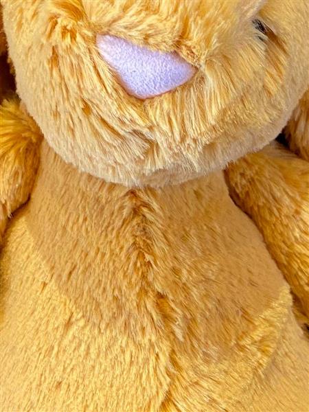 Saffron jellycat bunny 2025