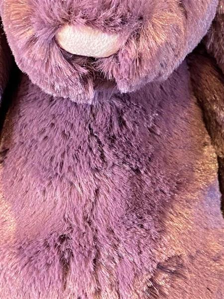 Jellycat Medium Bashful Bunny Plum Beehive Florist Chelmsford